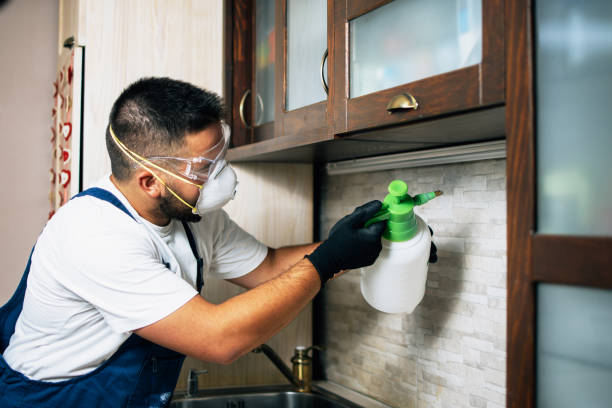 Best Pest Removal Services  in Stevenson Ranch, CA