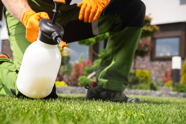 Best Pest Control Near Me in Stevenson Ranch, CA