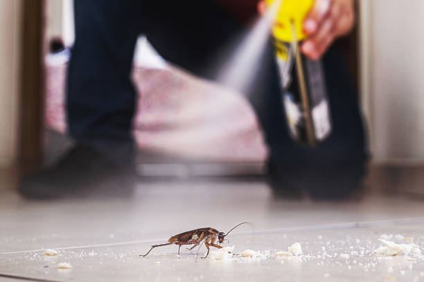 Stevenson Ranch, CA Pest Control Company